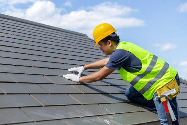 Roof Gutter Cleaning in Wayne, IL